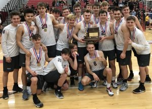 Boys Volleyball 2019 WPIAL