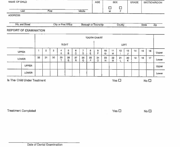 dentalform Ambridge Area School District